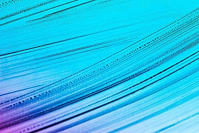 Switch 2＆1最新更新发布 修复问题提高稳定性